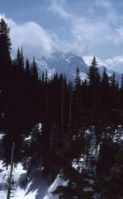 1987-001b Winter Ascent of Mt Snoqualmie Mar 1987 001.jpg